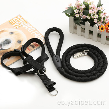 Collar trenzado martingala para perros de servicio